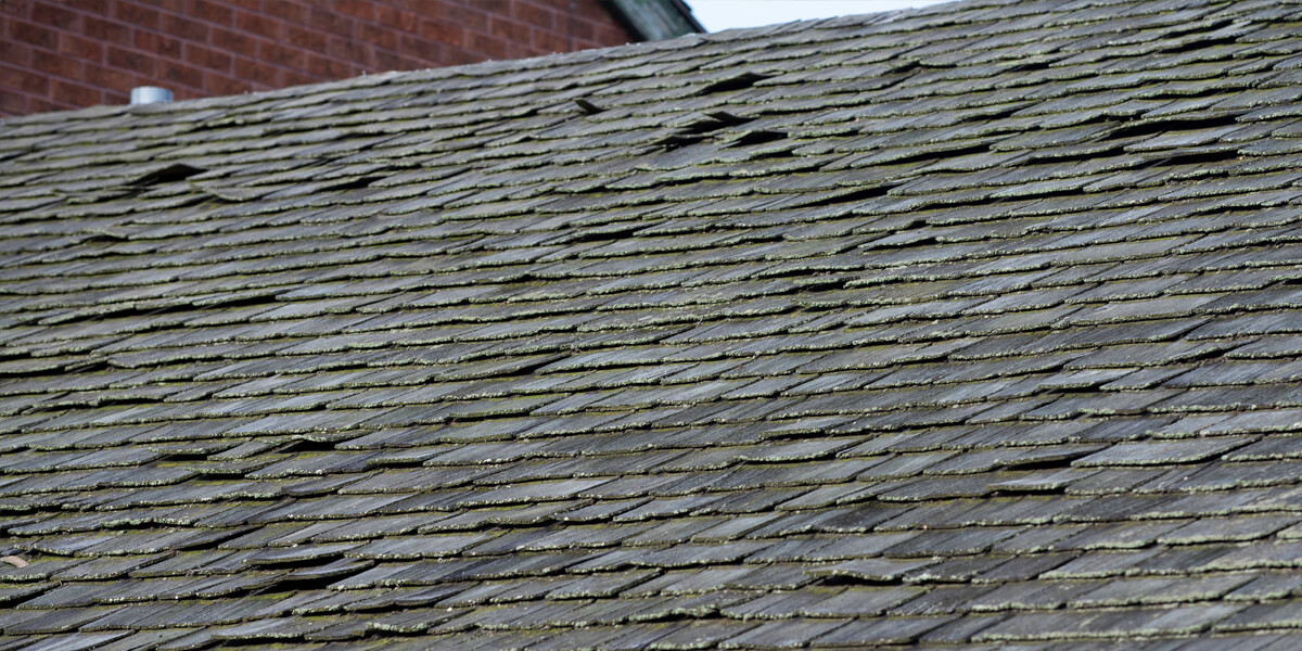Close-up of an old, weathered roof with uneven, curling shingles—some warped or damaged by storm roof damage Kanata. Moss and dirt coat the surface, highlighting the urgent need for repair.
