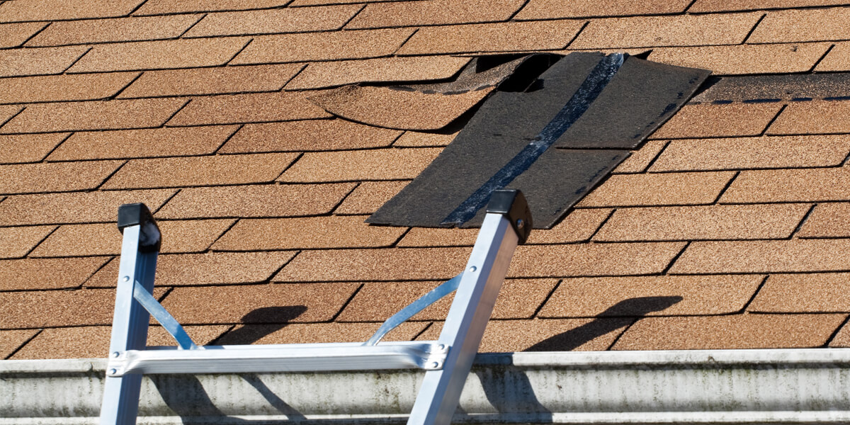 A metal ladder leans against a house with brown asphalt shingles, where several shingles near the roof peak are missing or lifted, exposing a black underlayment beneath—an issue often handled by roofing Barrhaven professionals.