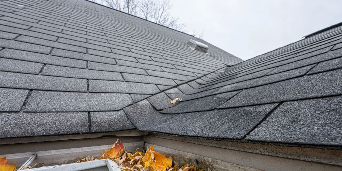 A close-up view of a house roof with gray shingles and a gutter clogged with fallen leaves, twigs, and debris—an ideal candidate for a roof tune-up in Ottawa. The sky above is overcast, and leafless trees are visible in the background.
