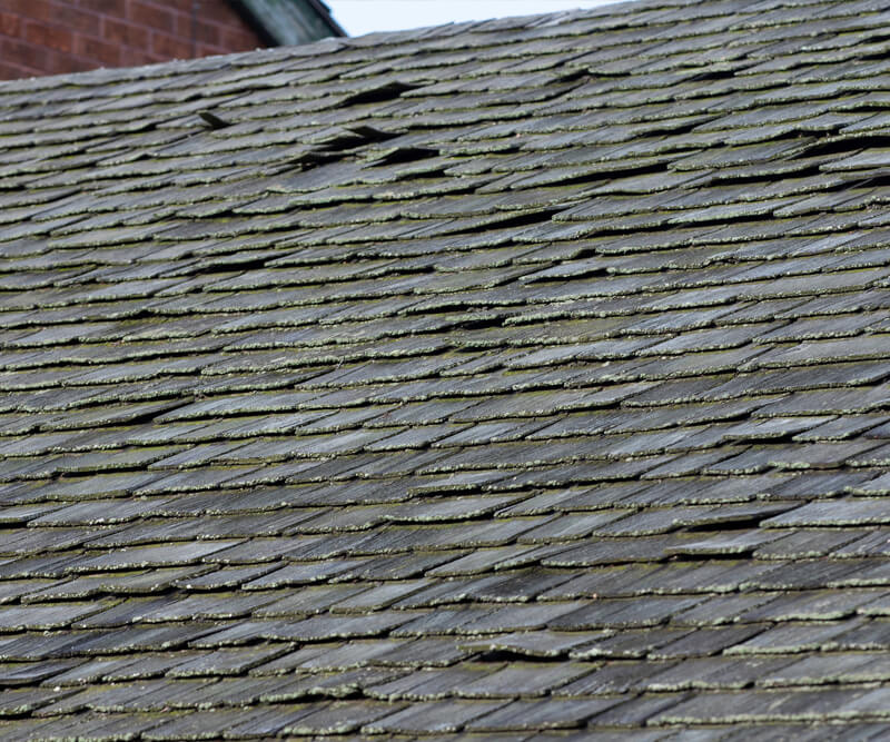 Close-up of an old, weathered roof with uneven, curling shingles—some warped or damaged by storm roof damage Kanata. Moss and dirt coat the surface, highlighting the urgent need for repair.