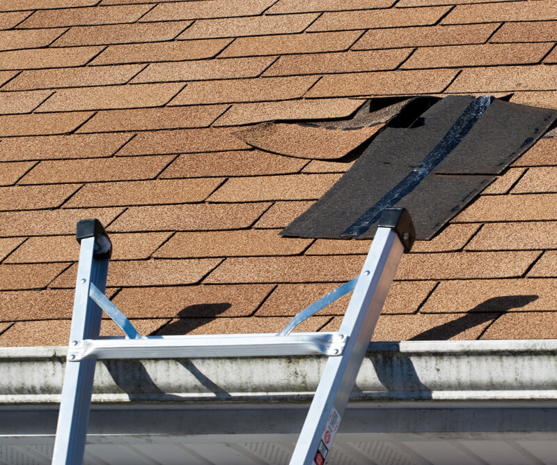 A metal ladder leans against a house with brown asphalt shingles, where several shingles near the roof peak are missing or lifted, exposing a black underlayment beneath—an issue often handled by roofing Barrhaven professionals.