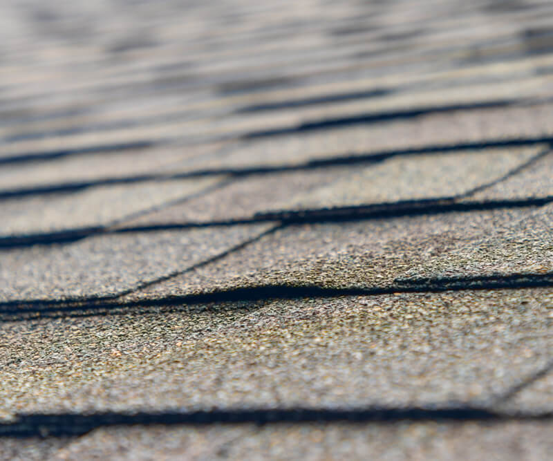 Close-up view of asphalt roof shingles, some of which appear to be lifting or warping, indicating potential roof damage or wear that could lead to roof leaks. The image highlights the shingles’ texture and condition.