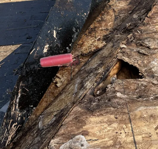 A red utility knife or blade is lodged in damaged and rotting plywood on a roof, surrounded by black roofing felt and other roof insurance and restoration materials.