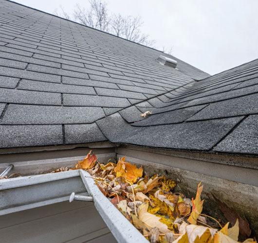 A close-up view of a house roof with gray shingles and a gutter clogged with fallen leaves, twigs, and debris—an ideal candidate for a roof tune-up in Ottawa. The sky above is overcast, and leafless trees are visible in the background.